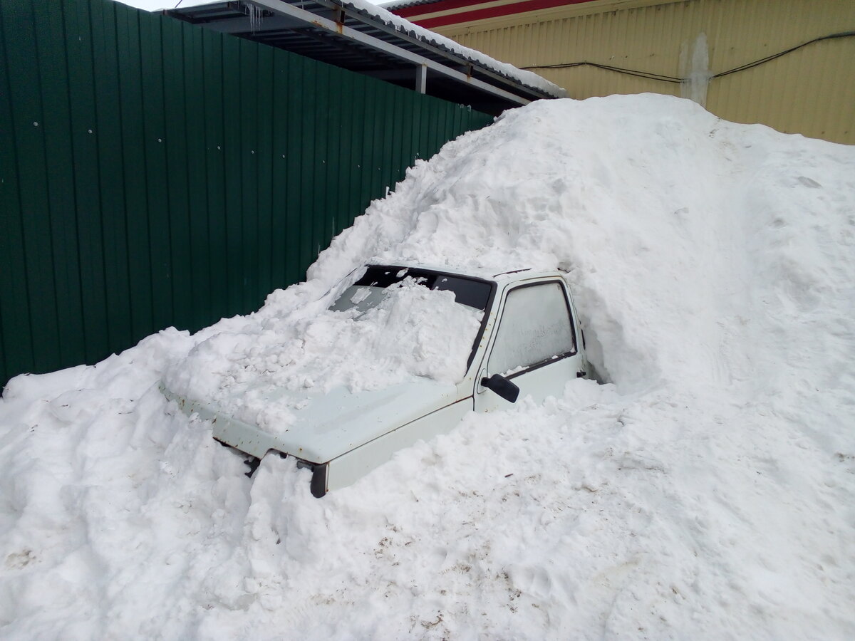 Весной в сугробах можно найти много интересного.