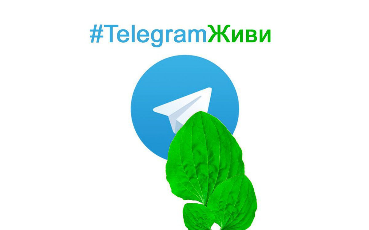 Телеграм карикатура. Мемы про телеграм. Картинка телеграм. Телеграм иллюстрация.