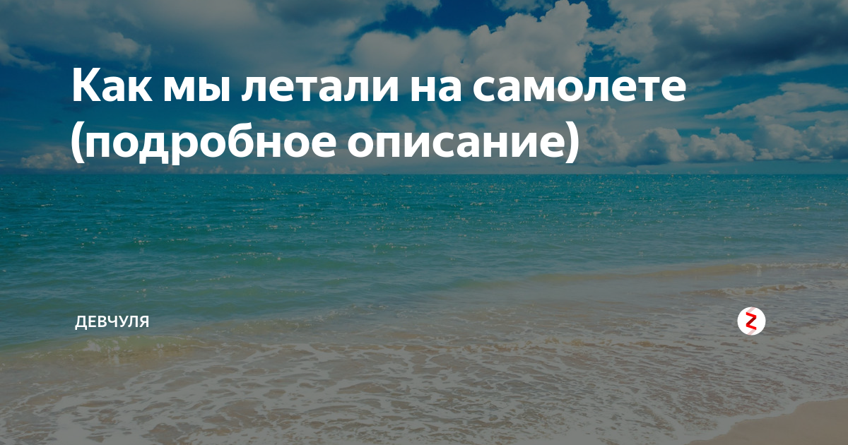Как мы летали на самолете (подробное описание) | девчуля | Дзен