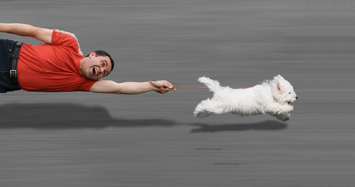 Источник фото: maxpark.com