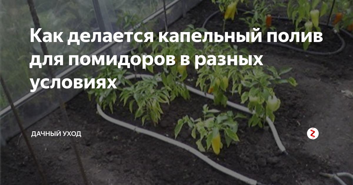 Устройство автополива на даче: преимущества, варианты систем, монтаж своими руками