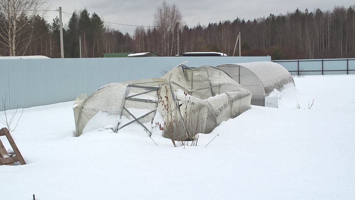 Типичная картина: дорогая теплица из поликарбоната не выдержала снеговой нагрузки и "сложилась". Более 20 000 рублей псу под хвост + груда мусора на участке. Перекрыть теплицу из стрейчпленки обошлось бы в 50-70 рублей - ровно столько стоит 1/2 рулона стрейч пленки. Почувствуйте разницу.