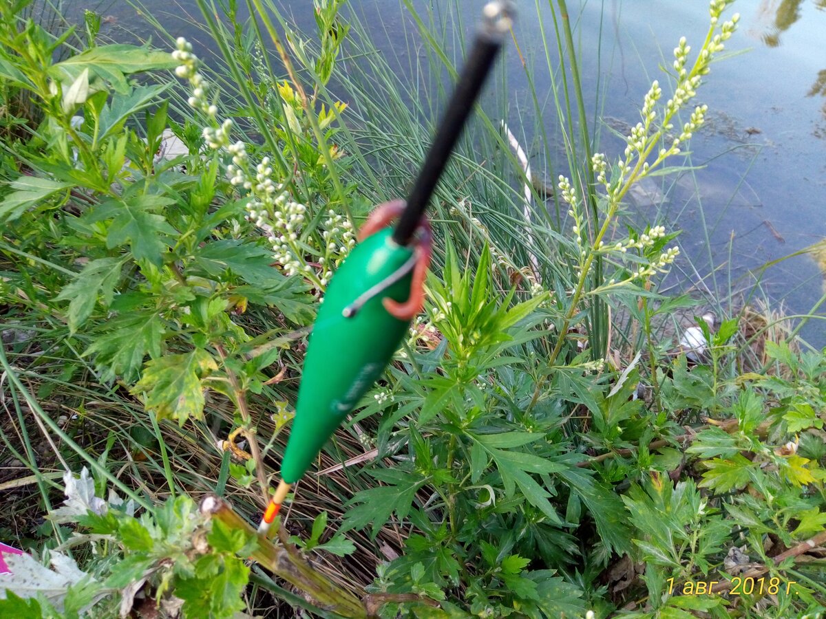 Фото поплавка и рыболовный крючок - перехлест поводка с крючком.