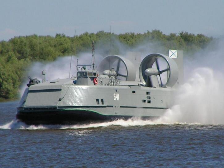 Проект 12061 «Мурена» разработан в ФГУП ЦМКБ «Алмаз». Корабль способен перевозить 1 современный танк массой до 48,6 т или вместо него 2 БТР/2 БМП со скоростью до 55 узлов (101 км/ч). Вместо бронетехники ДКВП может доставить на расстояние более 200 километров до 140 человек десанта.