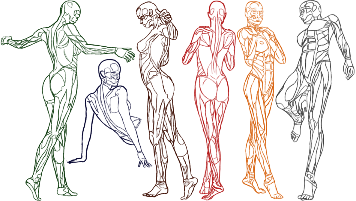 Основы рисования женского тела (50 референсов) | Творческая мастерская |  Дзен