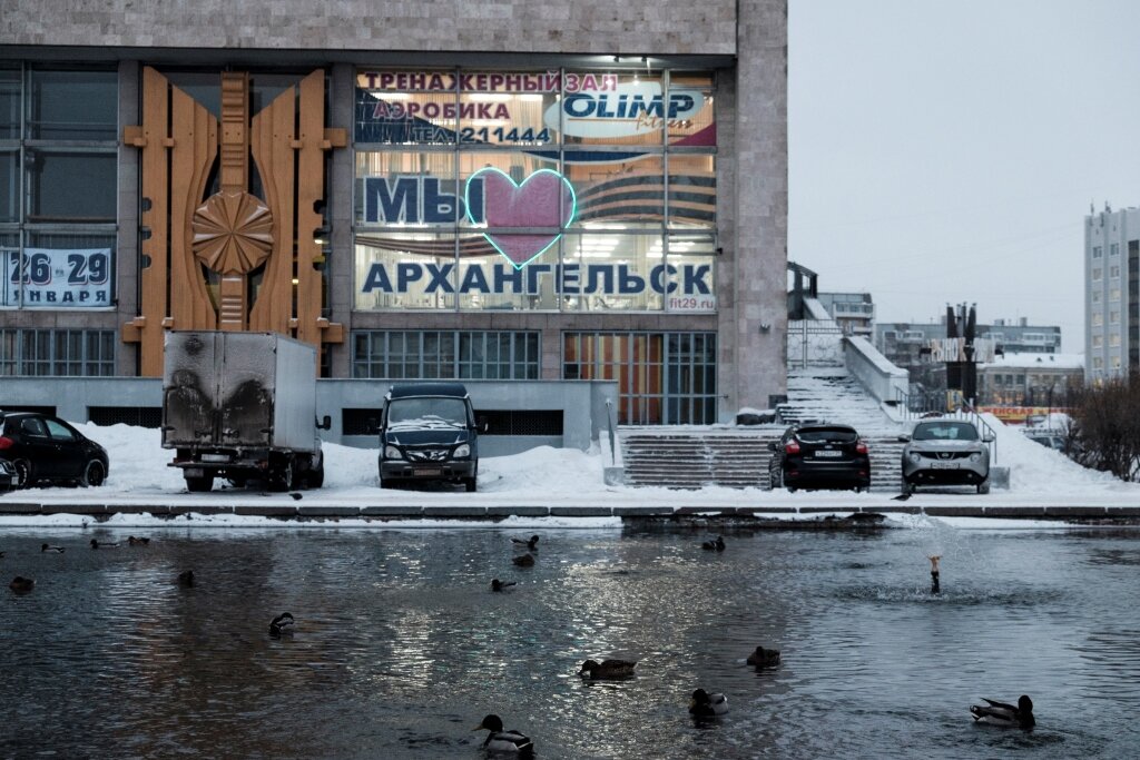 Доска треска архангельск