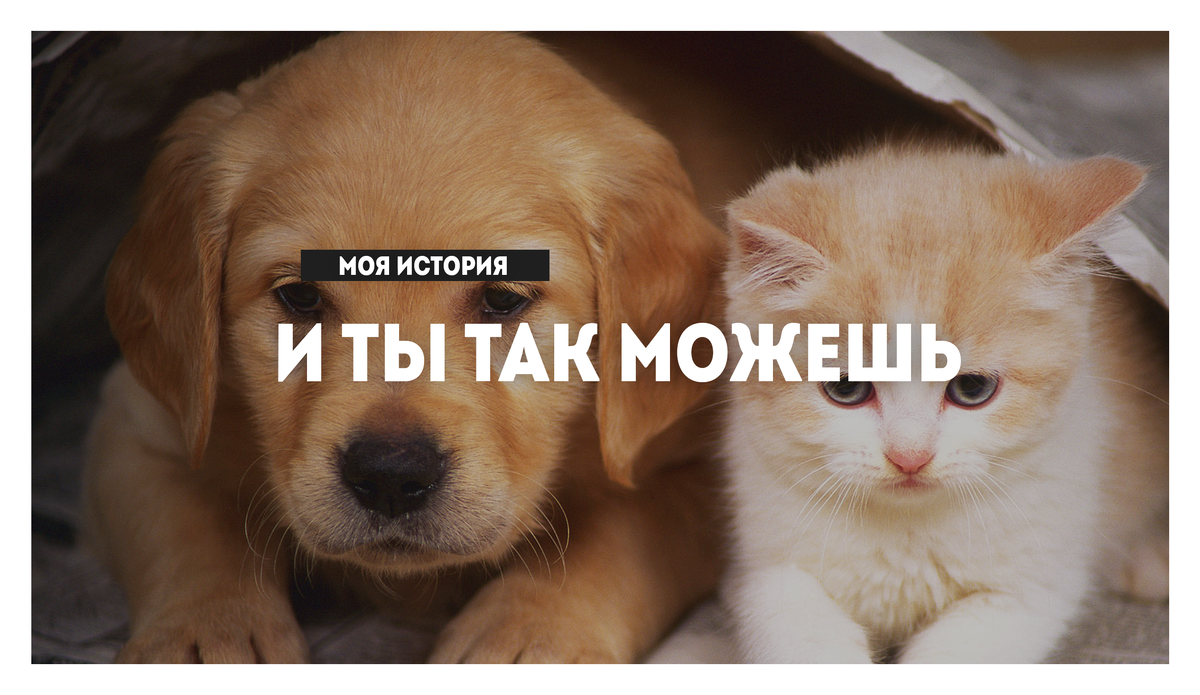 Подписывайся на канал, тут всегда интересно.