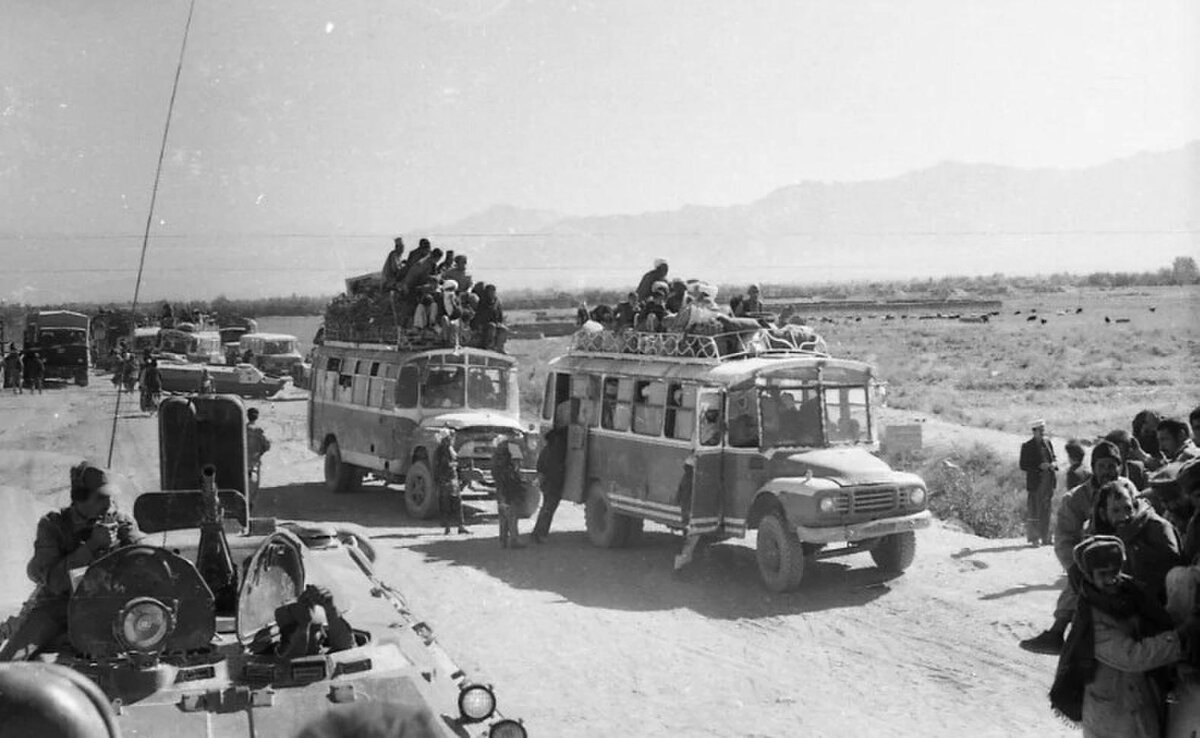 Фото из архива Ильи Царенко