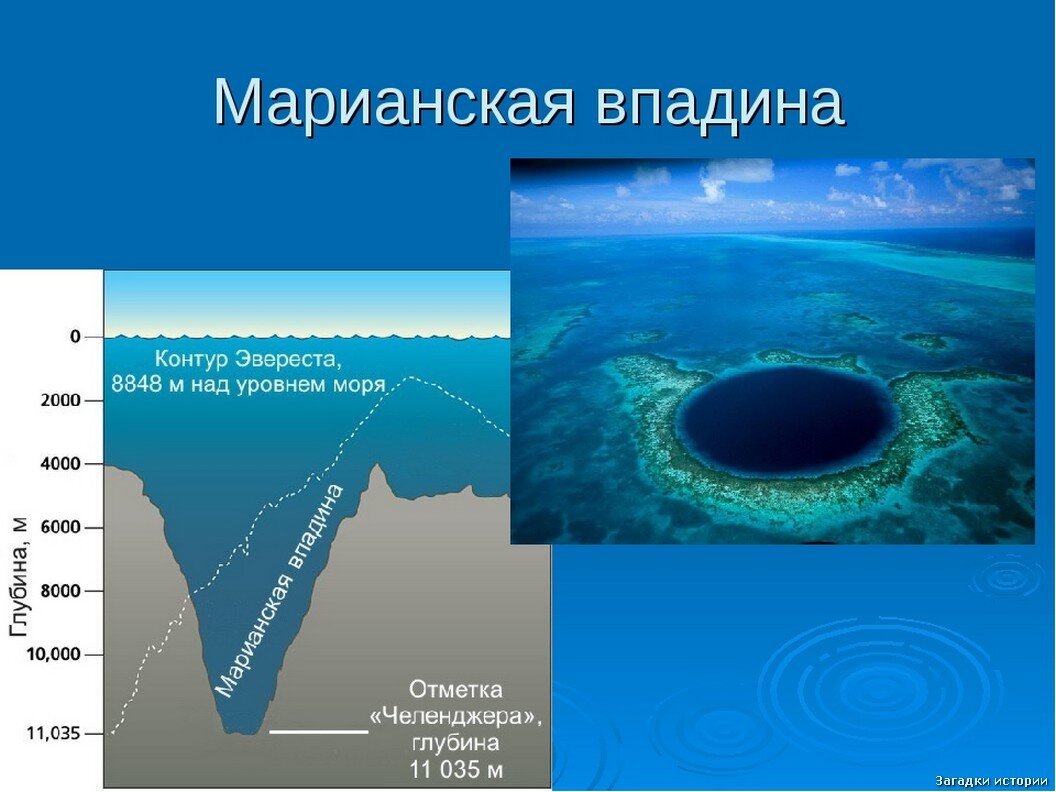 Проект про марианскую впадину