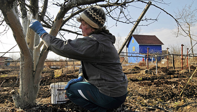 Фото РИА Новости