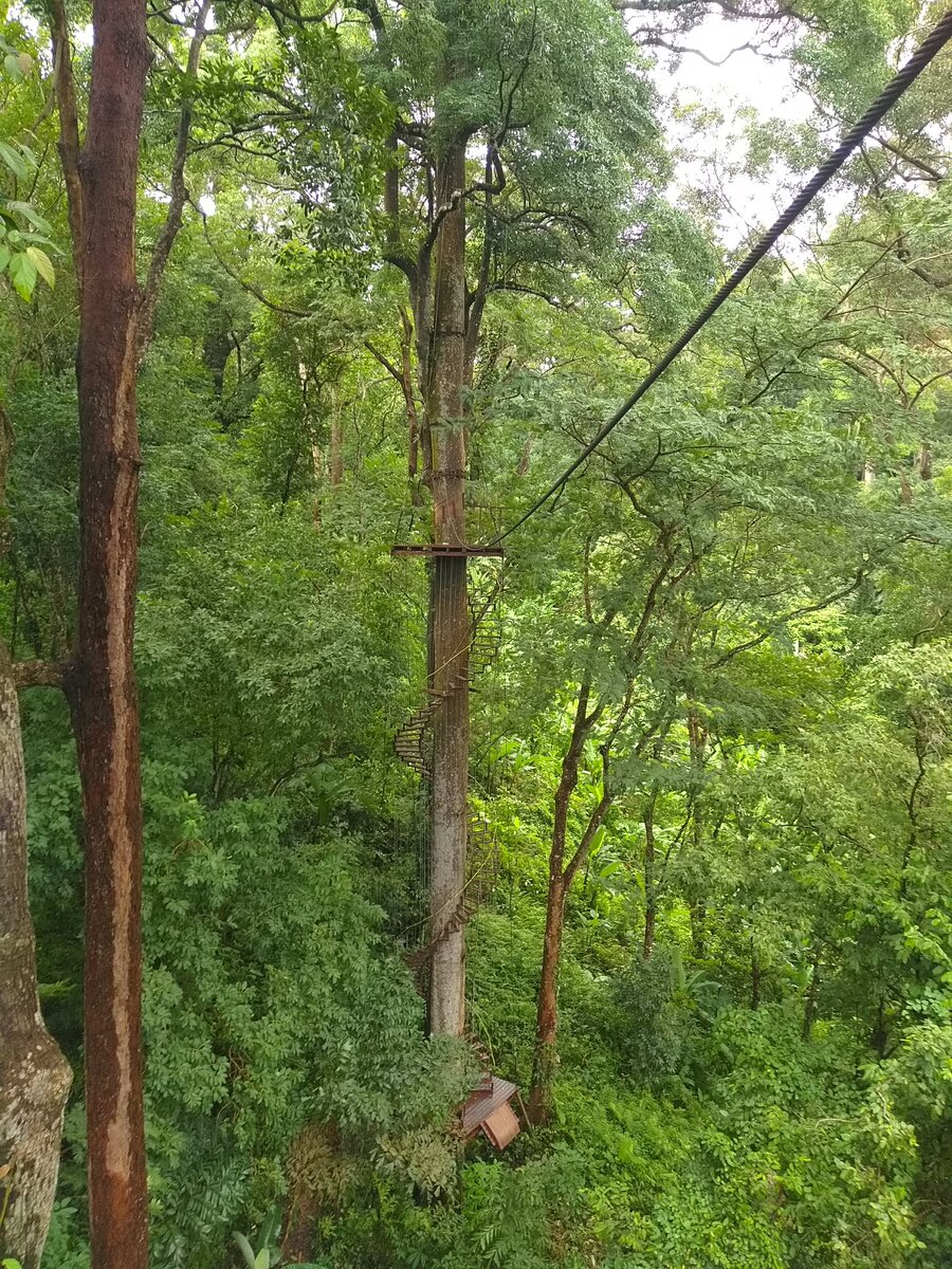 Подъем на платформу для последующего спуска с ветерком