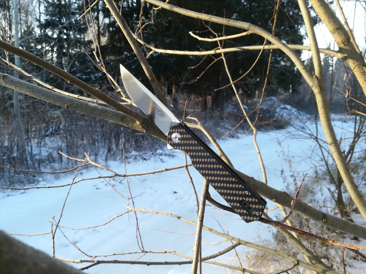 Приобрел себе интересный складной нож FH11 Ganzo, с исполнением рукояти в карбоне и сталью D2 на клинке. Модель на мой взгляд очень удачная для такой ценовой категории. Снял небольшой обзор, если кому интересно, тогда приятного просмотра.