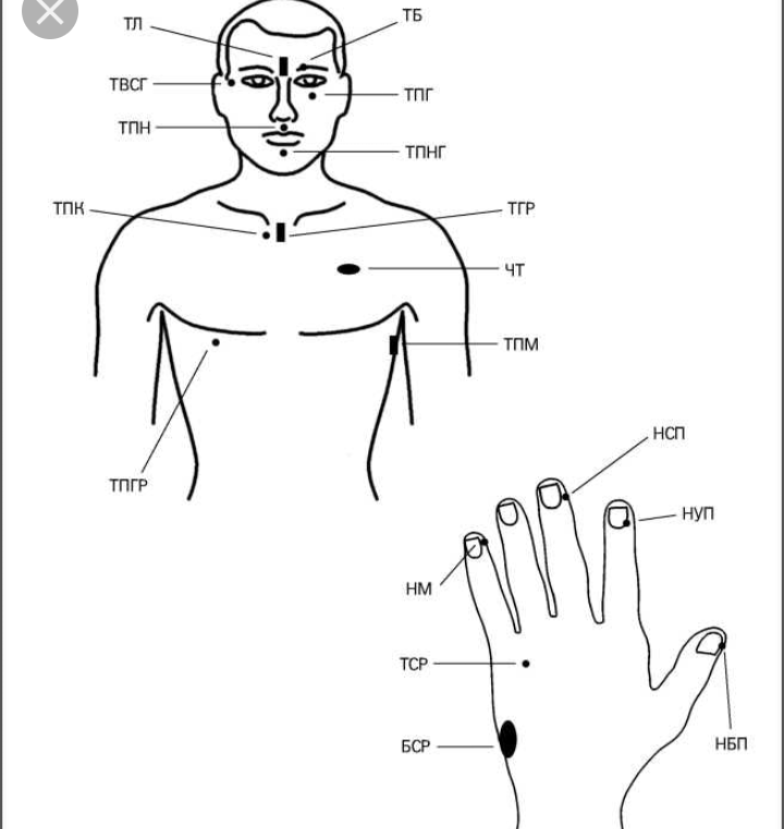схема биологически активных точек на теле человека. биологически активные точки. биоактивные точки на стопе. биологические активные точки на теле человека улучшить здоровью. акупрессура активные точки.