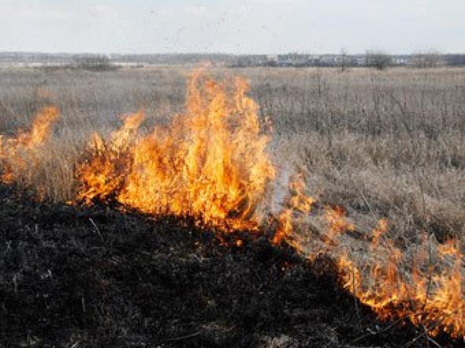   Изображение взято на сервисе Яндекс картинки.