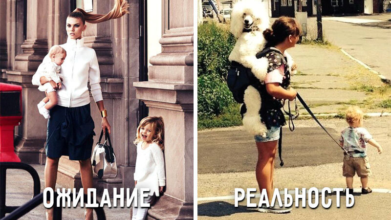 Фото с сайта https://cdn.fishki.net