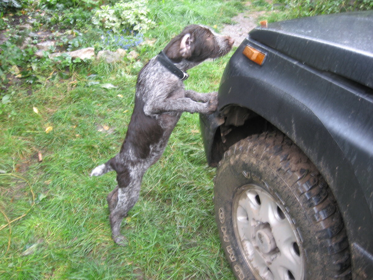 Ей все было интересно...