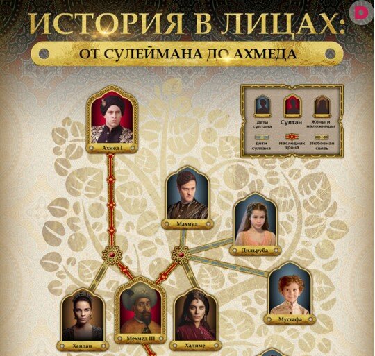 Родословная султана сулеймана великолепного схема