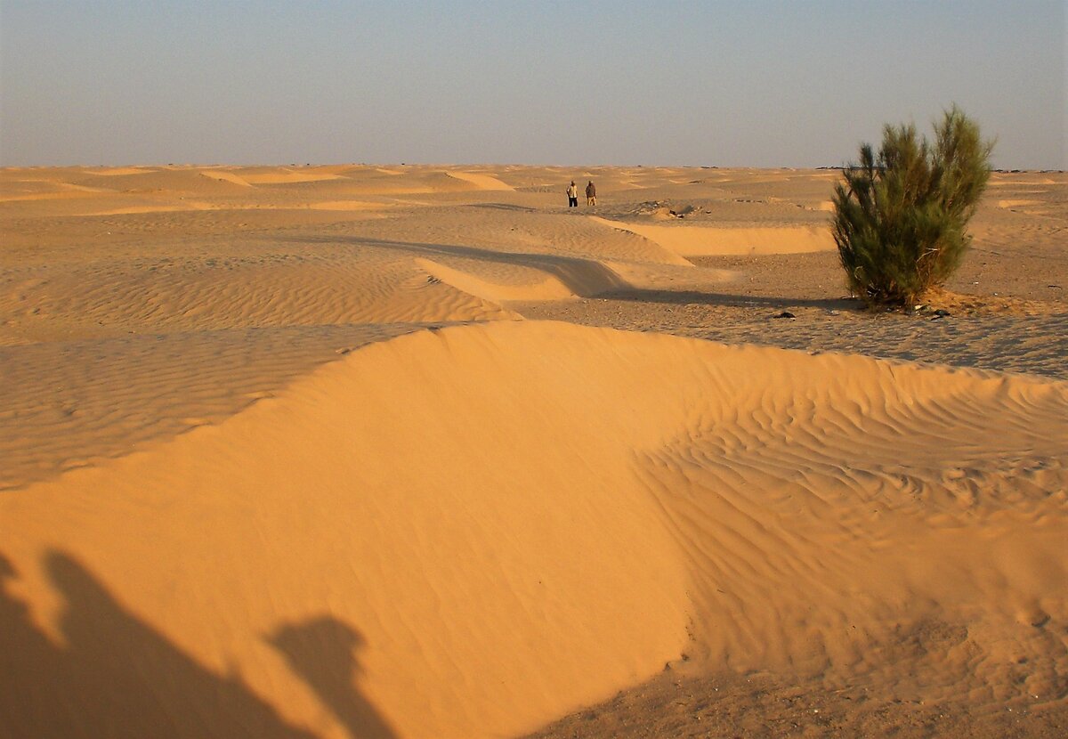 Пустыня сахара в тунисе