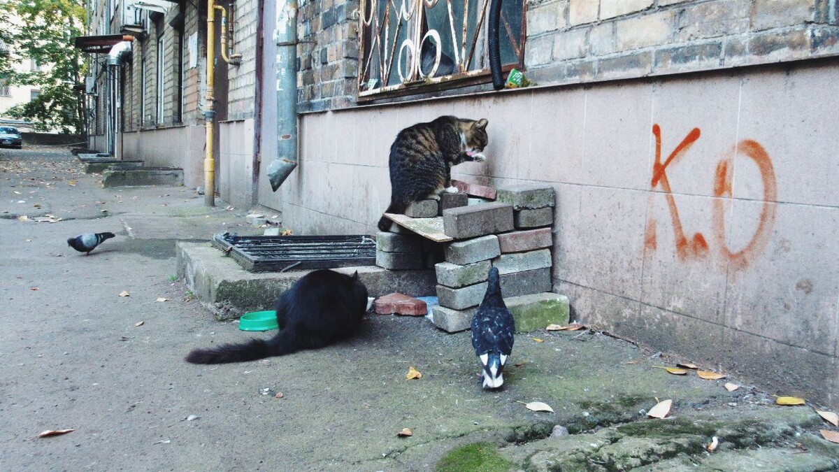 Буквы — это, наверное, авторская подпись архитектора-молодца.