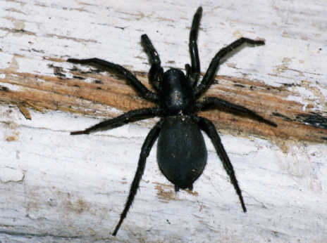 Источник фото - Яндекс.Картинки