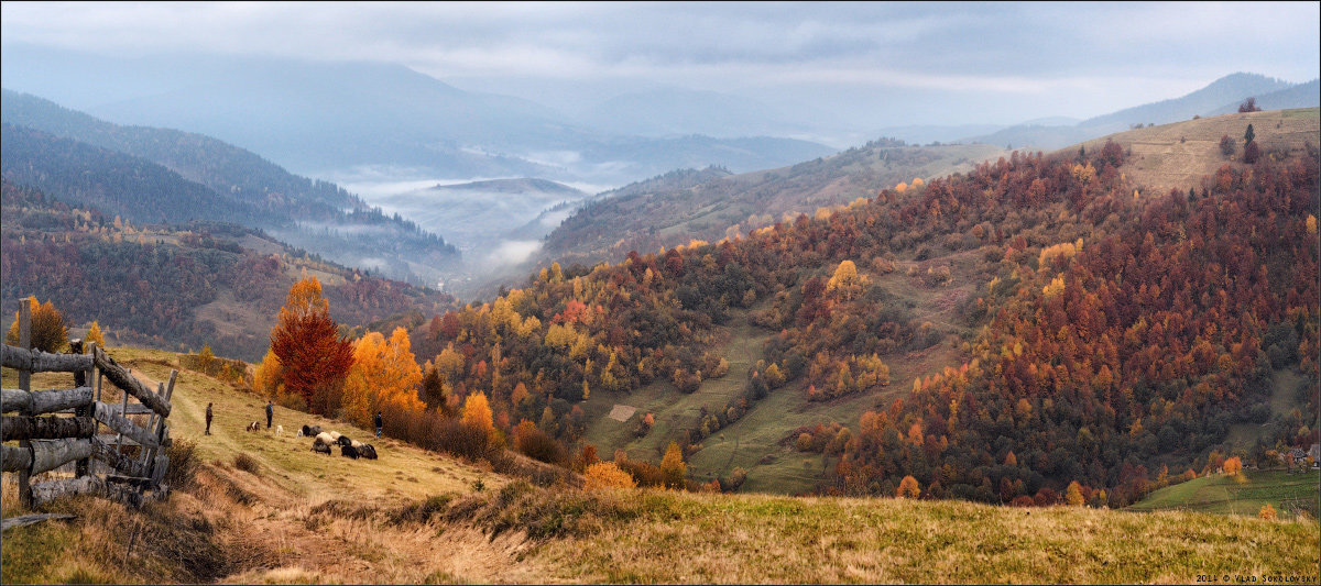 Горы Карпаты панорама