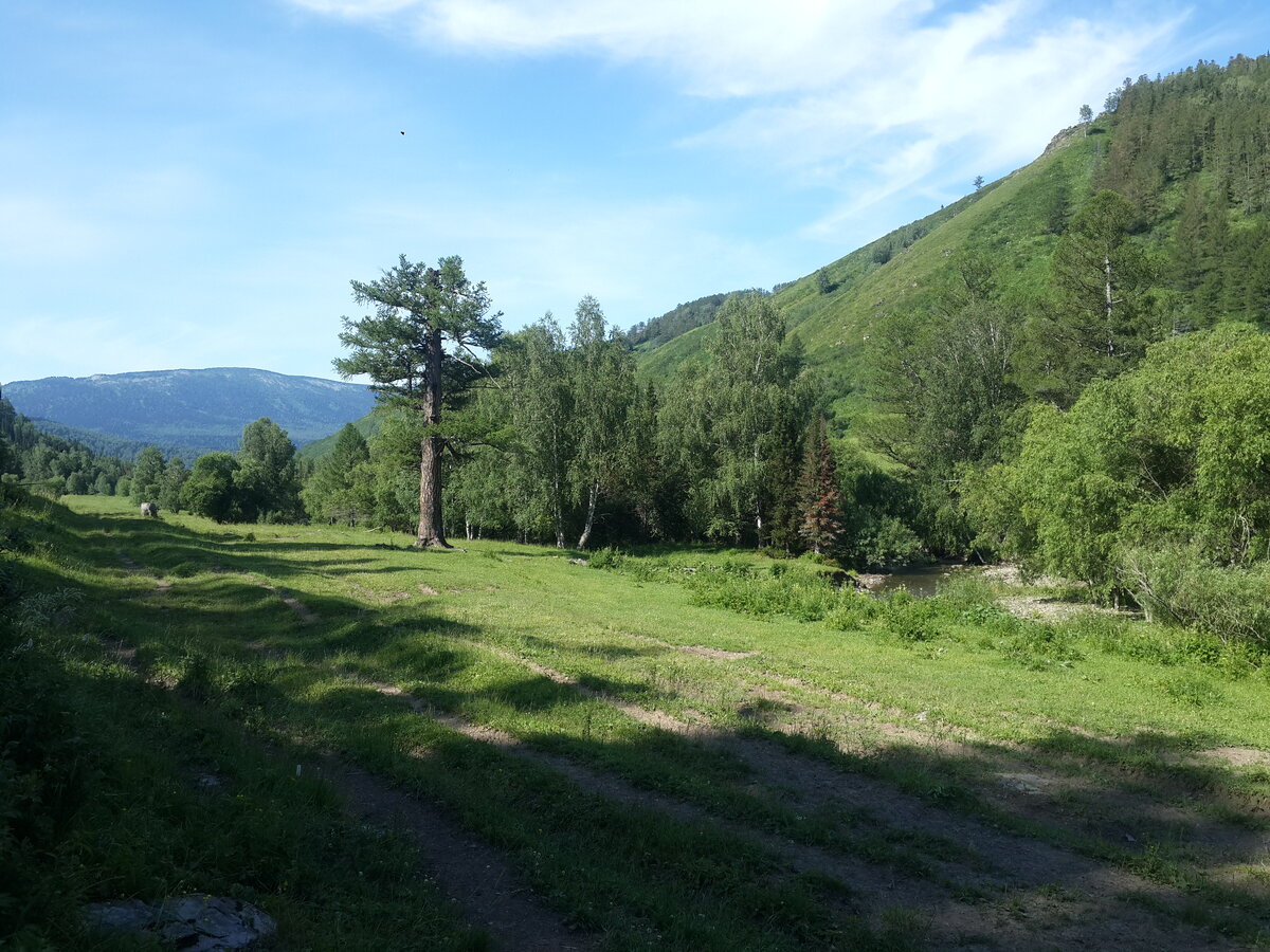 Погода тулата чарышский район. Село Тулата Алтайский край. Село Усть Пихтовка Чарышский район Алтайский край. Тулата Чарышский район Алтайский край. Сосновка Алтайский край Чарышский район.