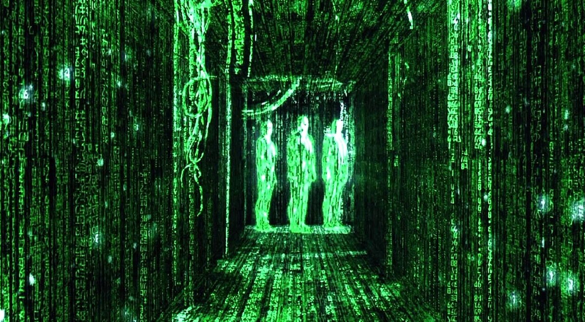 фото из интернета 