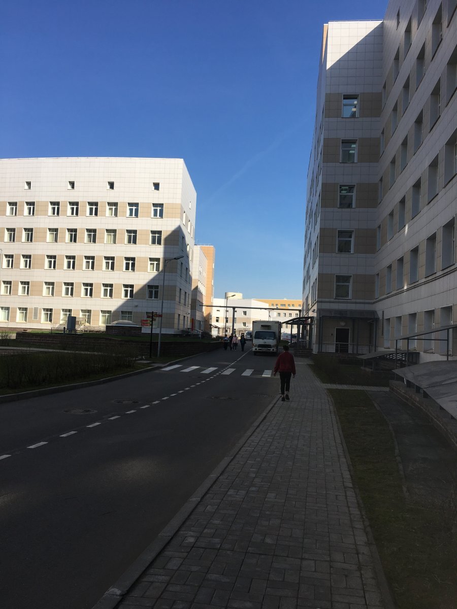 Фото из интернета