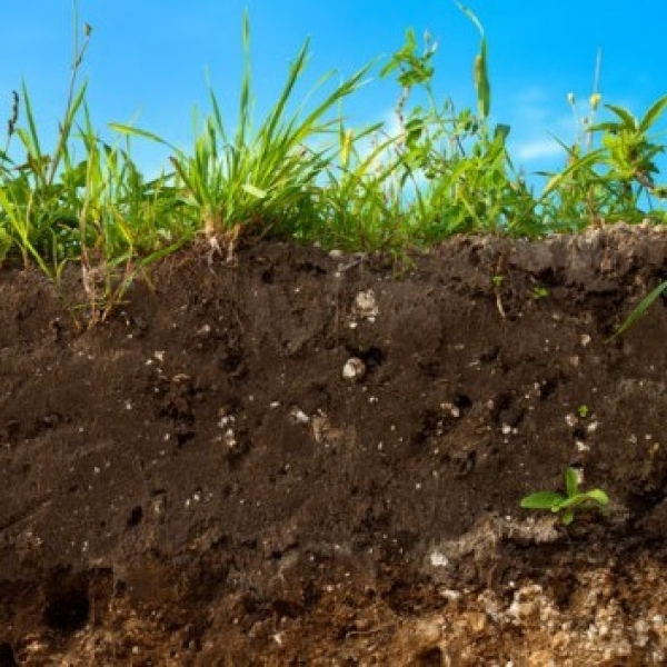http://www.ciboinsalute.it/images/spsimpleportfolio/rinascere-nella-terra/topsoil-shutterstock-537x357_600x600.jpeg