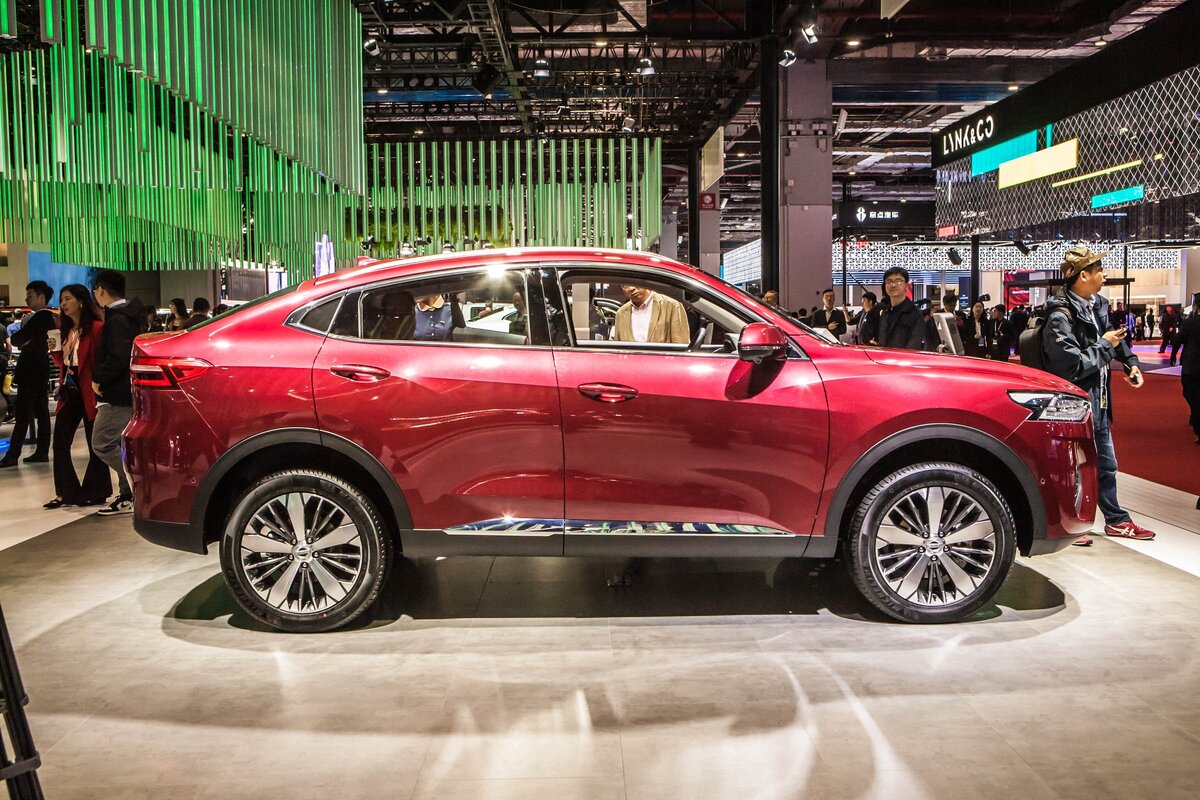 Хавейл на выставке