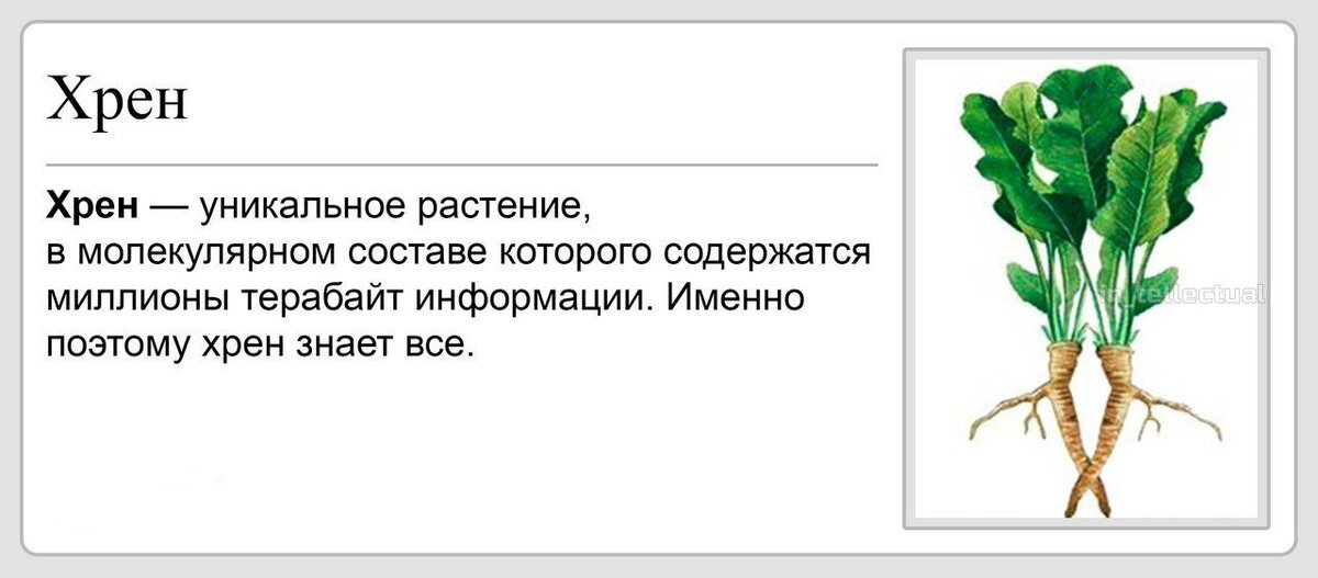 Уникальный ответ. Хрен знает. Хрен самое умное растение. Хрен юмор. Хрен который все знает.