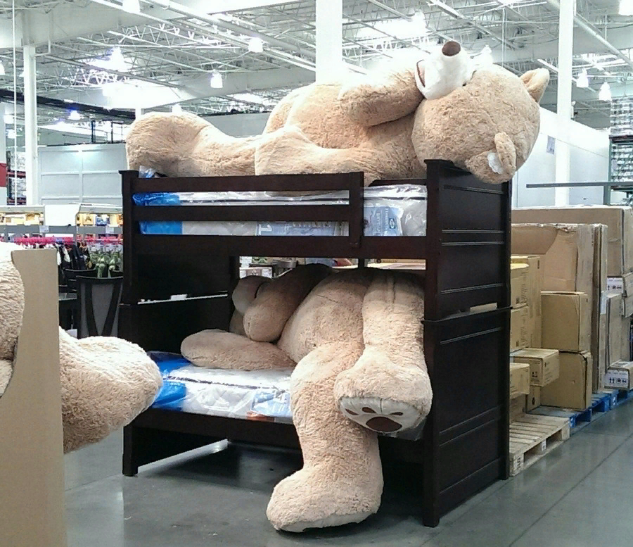 Фото из открытых источников.