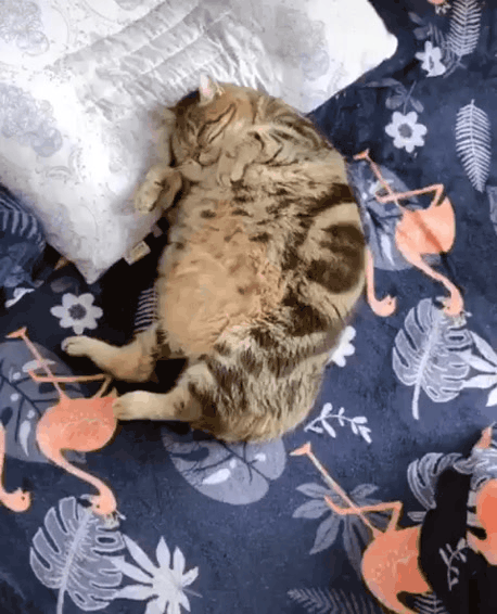 Нажми на картинку, чтобы посмотреть видео. Источник: Ютуб.