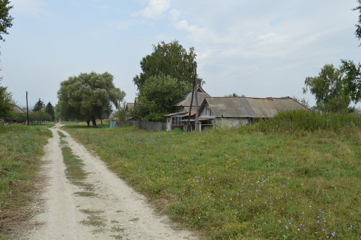 Село заведу. Деревенская тишь. Село Милково Ярославская область Первомайский район. Вымирающие деревни Шадринска. Деревня Синяково вымерла в середине 1980-х.