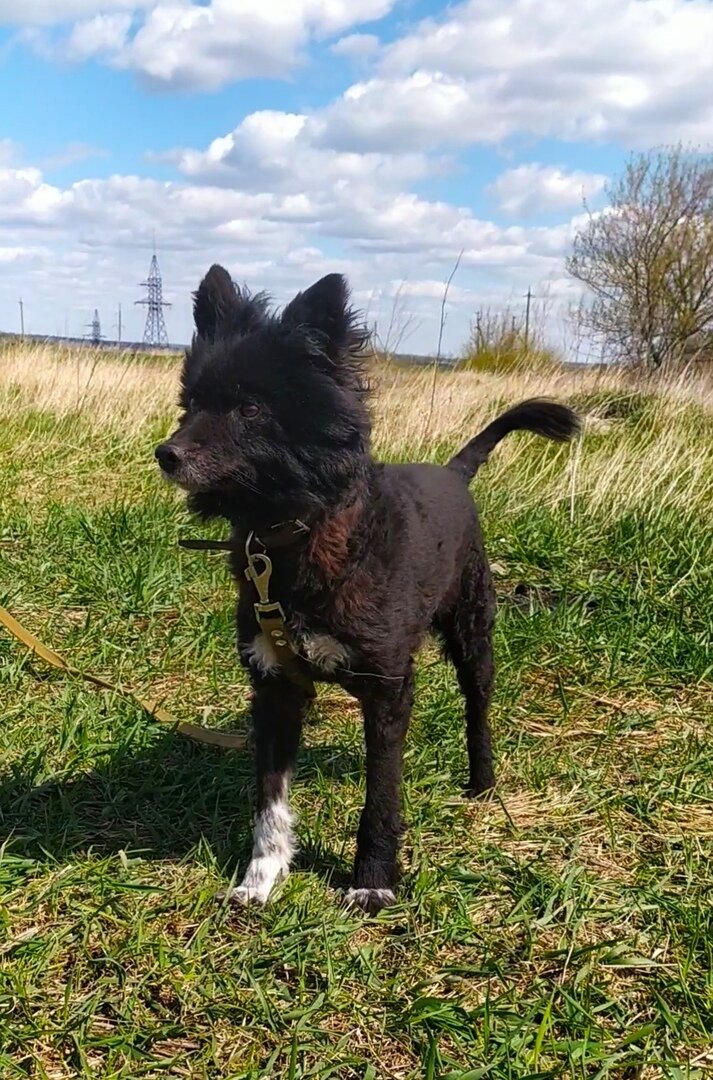 Раздолье, покой...