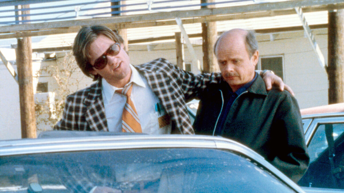 Фото из свободного источника