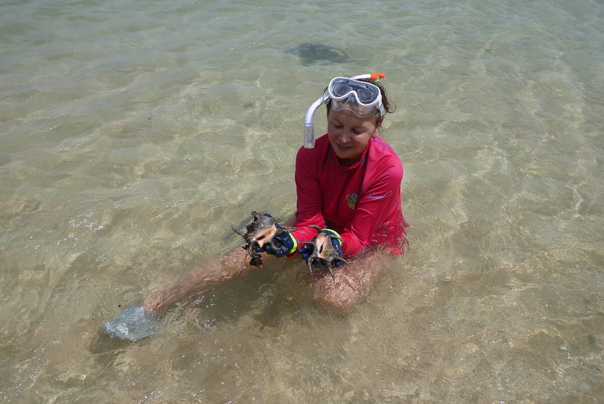 На острове Ishigaki