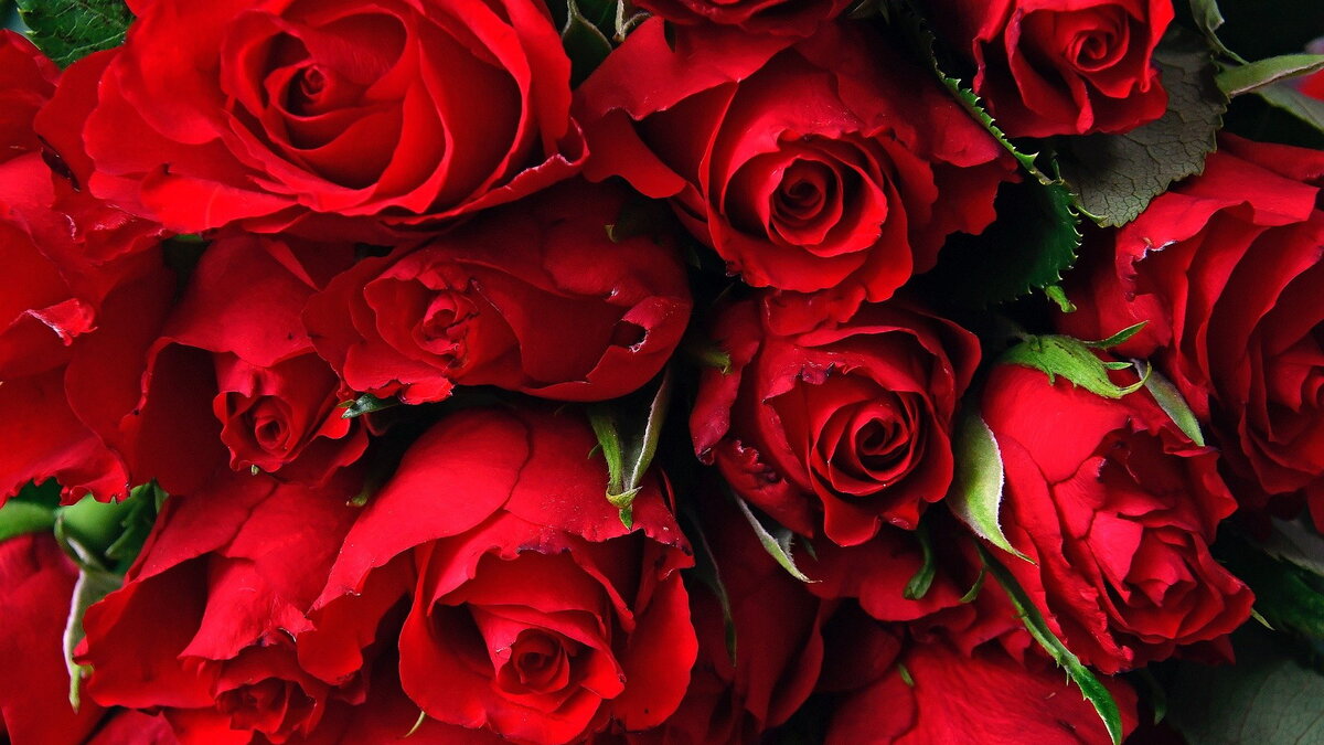 Pexels /https://pixabay.com/