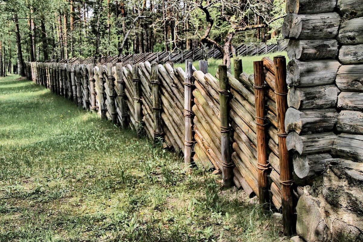 Забор из березы (43 фото)