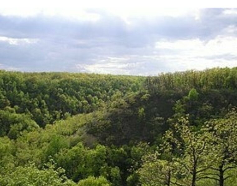 Фото взято из открытого источника.