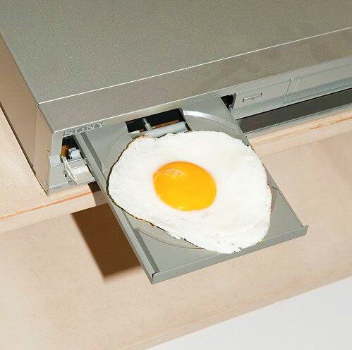 Egg Player, 2013