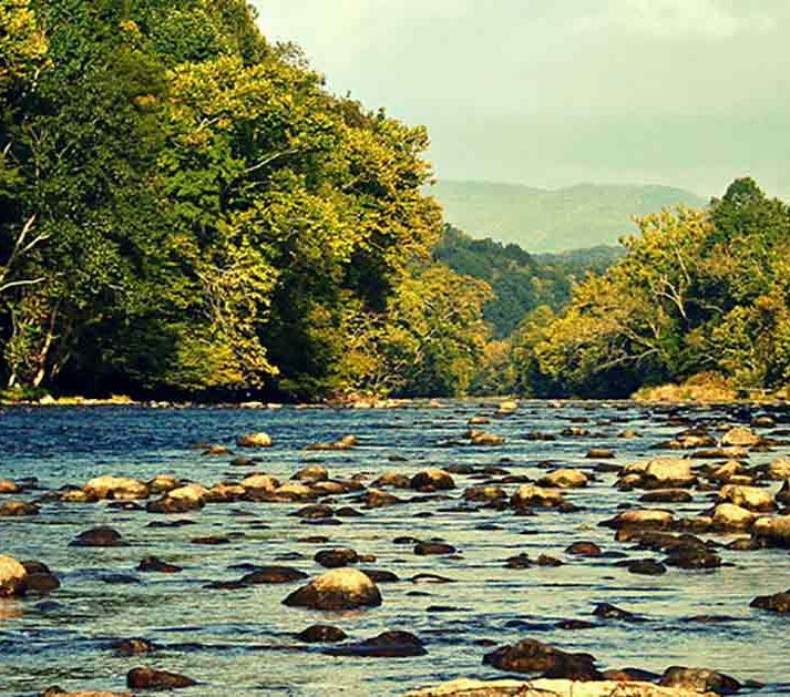 Холстон Ривер, фото с сайта www.americanrivers.org