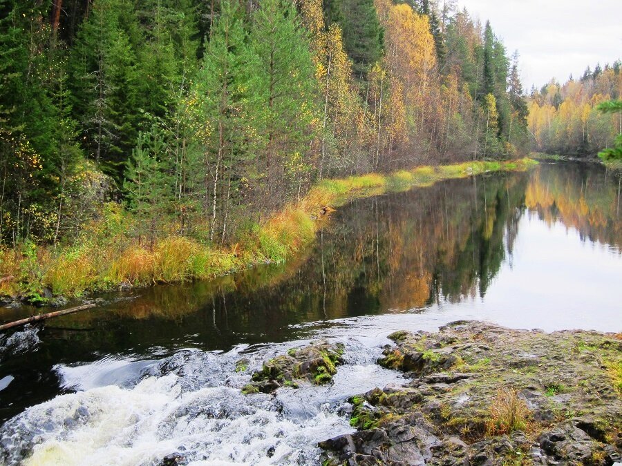 Суна Карелия