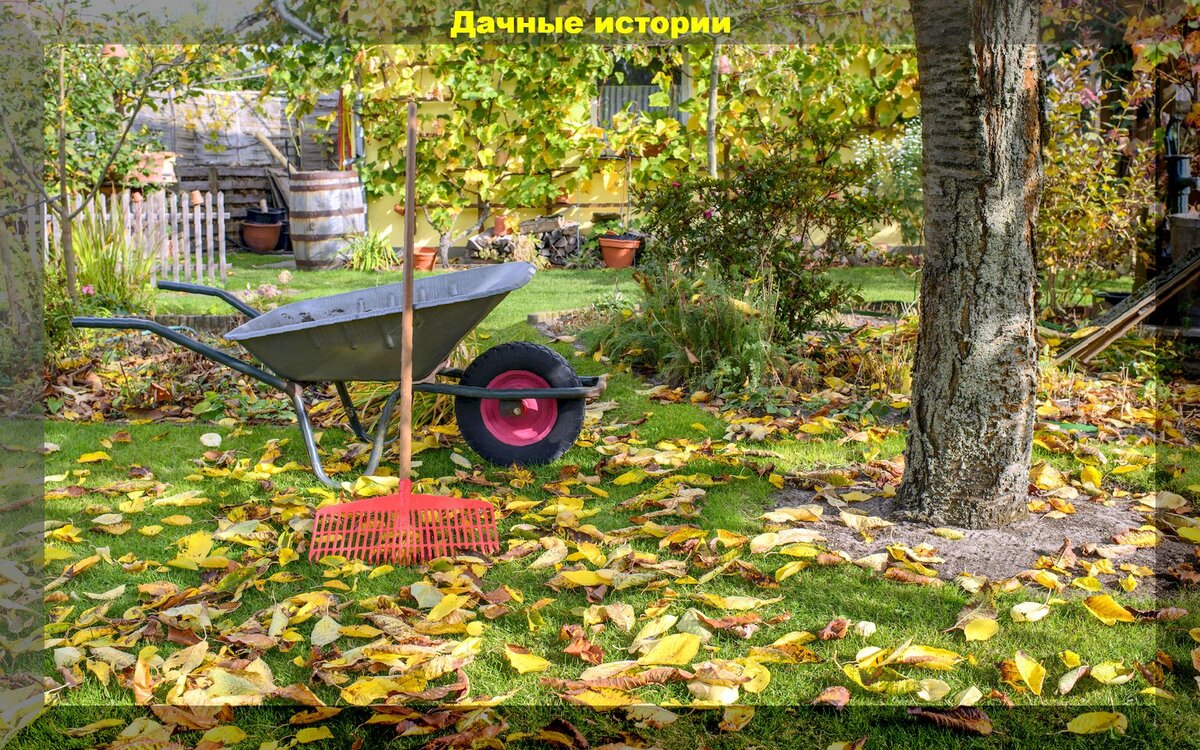 https://vk.com/album-159774511_281570974