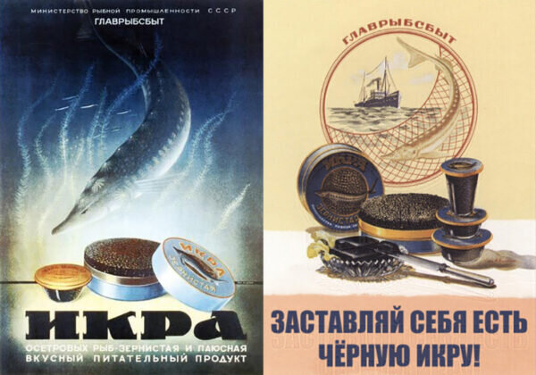  Официально черная икра стоила около 4-х рублей за кг, но реально ее можно было купить только по 30-40 рублей за кг. Фото mixnews.lv