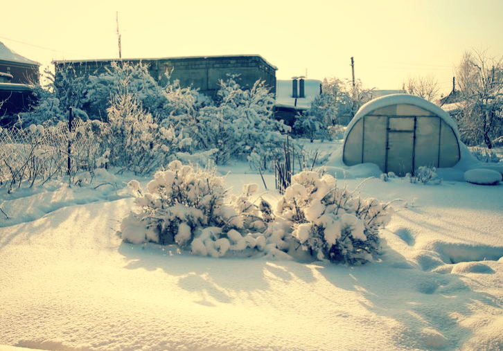 Огород зимой