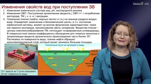 Тимофеева Е.А. - Химическое загрязнение биосферы - 14. Органические ЗВ в ОС