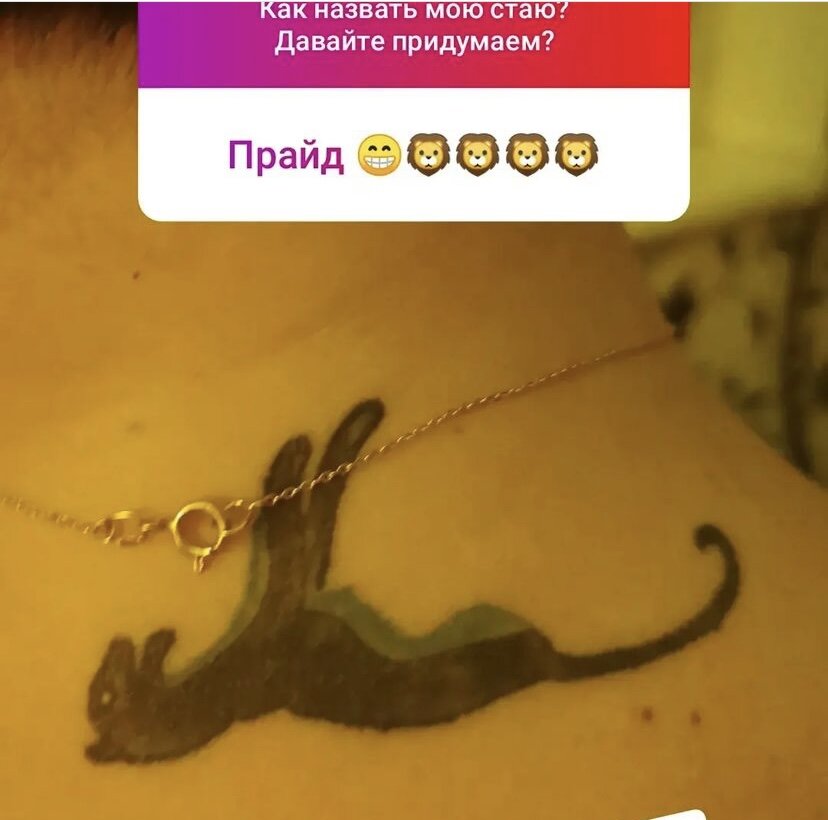 Это была подростковая мечта

Багира в виде татуировки

Умение Кайфовать от жизни. И при этом невозможность пройти мимо, когда происходит несправедливость.

И ТАКАЯ внутренняя сила, которая позволяет не бояться любой драки. Но и мудрость, когда можно вовремя откупиться быком...

И знания, чтобы понимать суть и уметь предсказывать...

Делать татуировку на шее было щекотно. И как же я счастлива, что она у меня есть.

И немного жаль, что это не случилось со мной раньше...

А Вы говорите со своими детишками про смыслы?