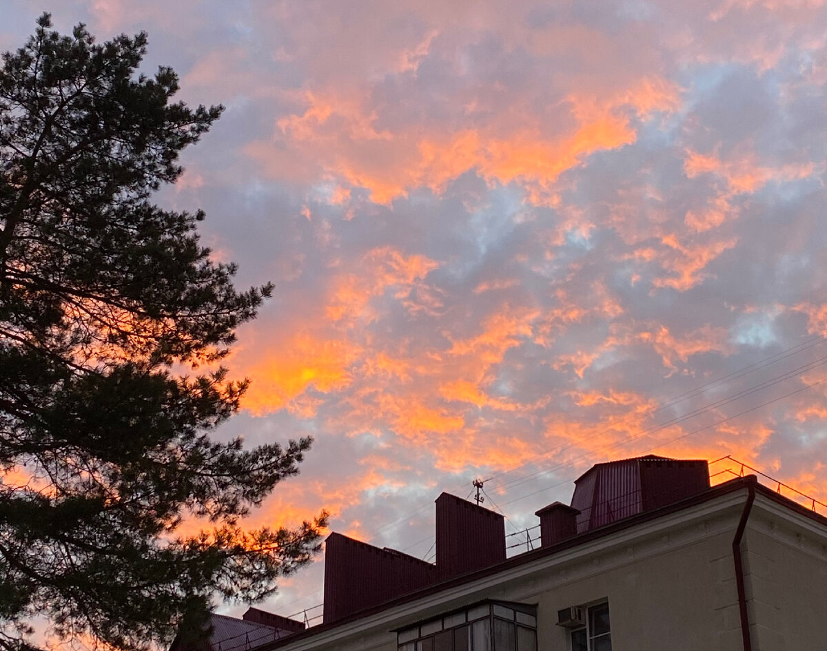 Центр Краснодара.