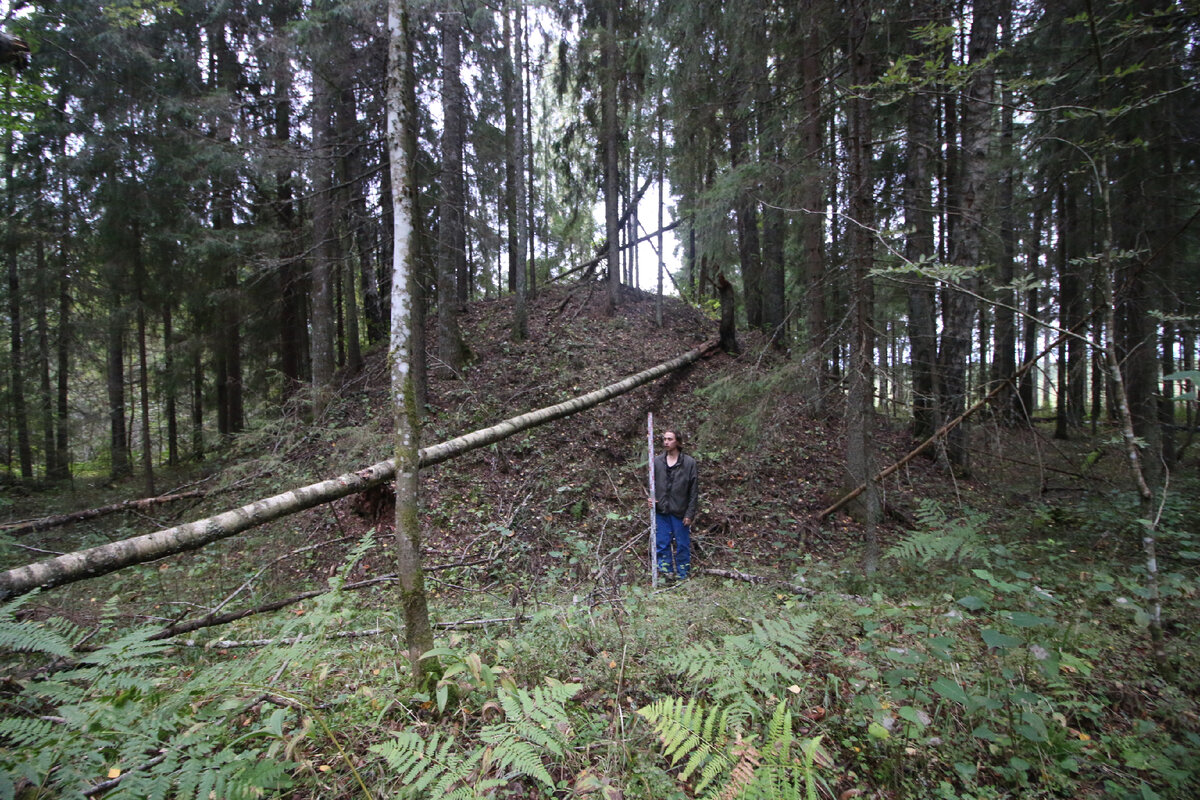 Сопки у д. Заручевье